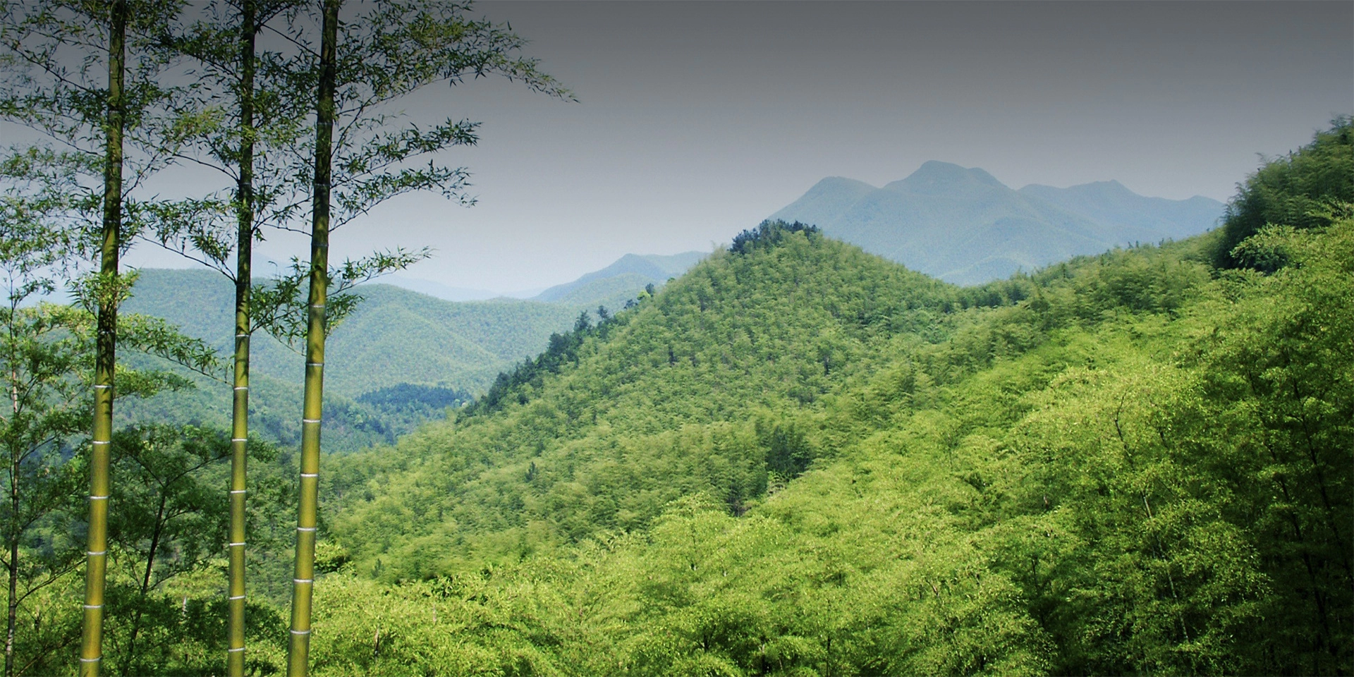 私たちについて