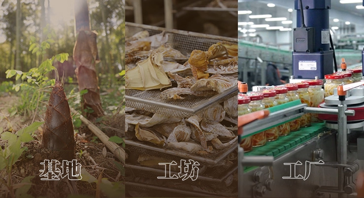 基地・工房・工場モデルによる共同富裕