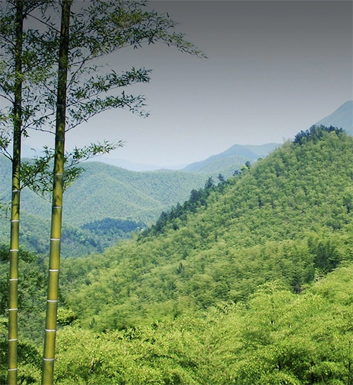 私たちについて