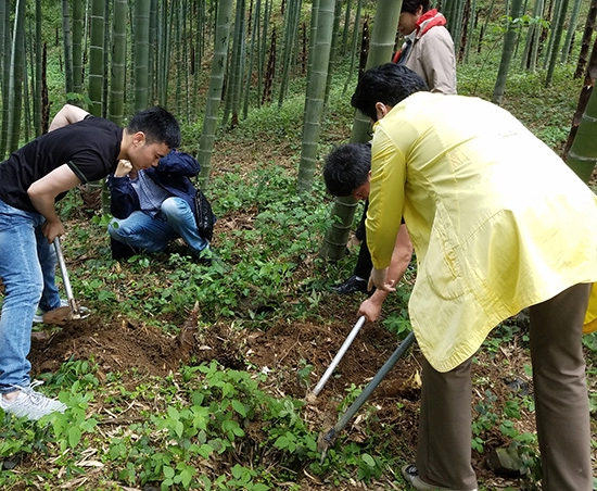 第三次産業：観光