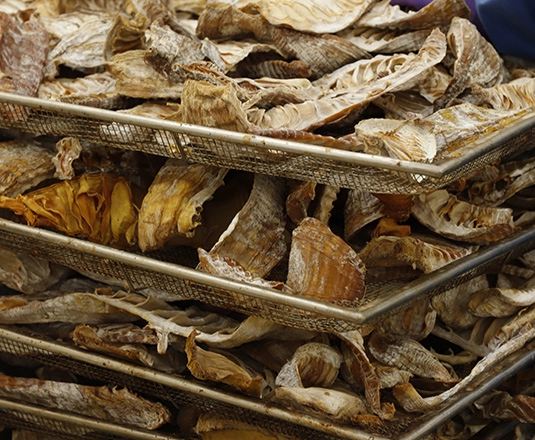 第二次産業：加工